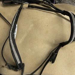 Bridle 