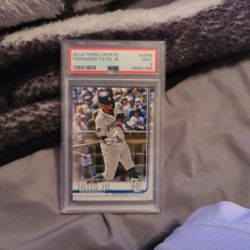 Fernando Tatis Jr Baseball Card 