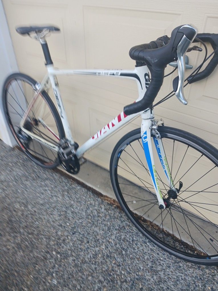 Giant Road Bike 54cm