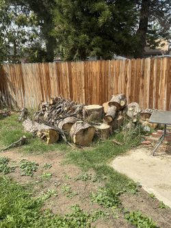 Pile Of Wood