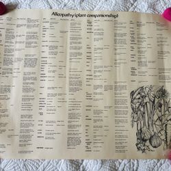 1970s Companion Planting Gardening Poster 
