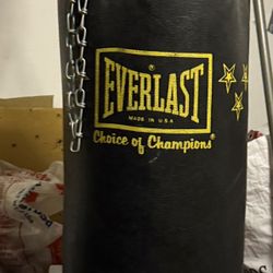 Everlast Heavy Bag And Speed Bag Stand