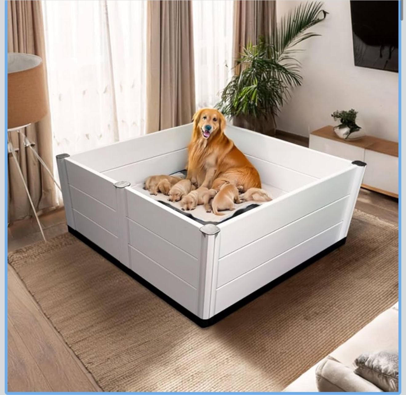 Whelping Box