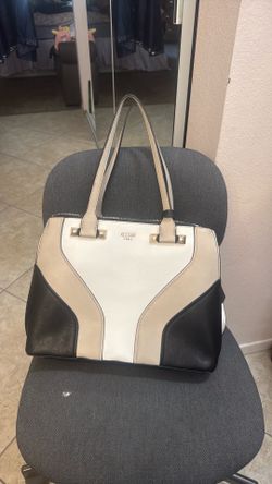 Bolsa guess
