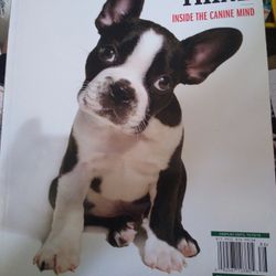 How Dogs Think, Inside The Canine Mind