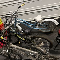 Beach Cruiser/ Mountain Bikes
