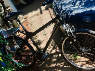 Zip Eco-Ride Men's 450w