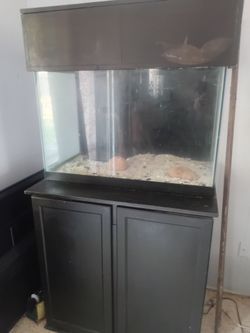 Aqueon 65 gallon Reef Ready Aquarium