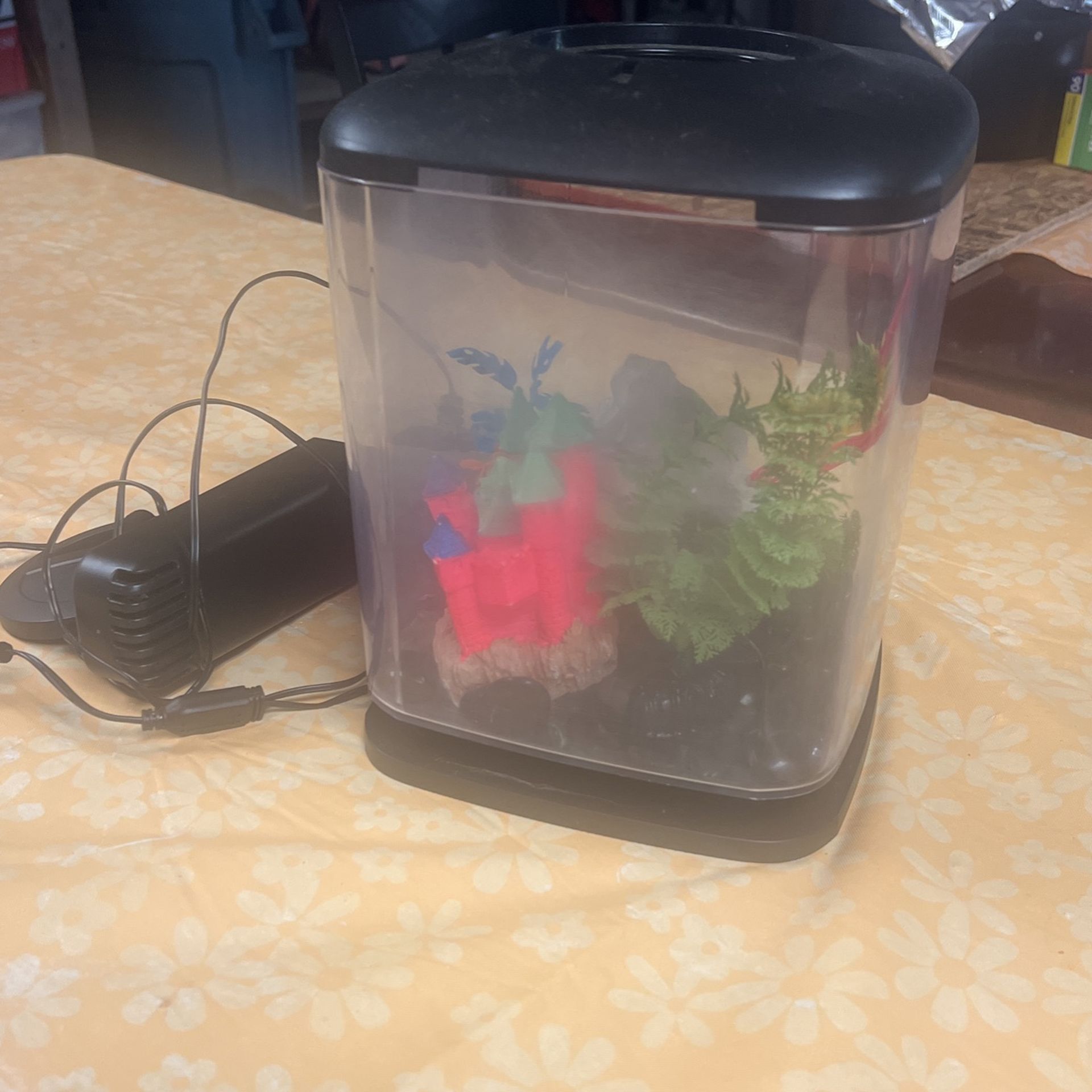 Fish Tank