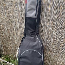 Roadrunner bass guitar gig bag 