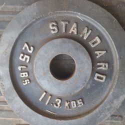 Weight Plates Set Of 2  Olympic  Size