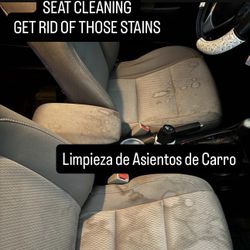 Car Seat Cleanse 🧼