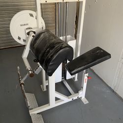 Paramount Commercial Bicep Curl