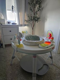 Skip Hop Activity Center