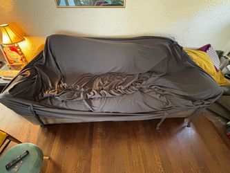 FREE protective couch cover