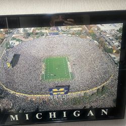 Framed Michigan big house picture