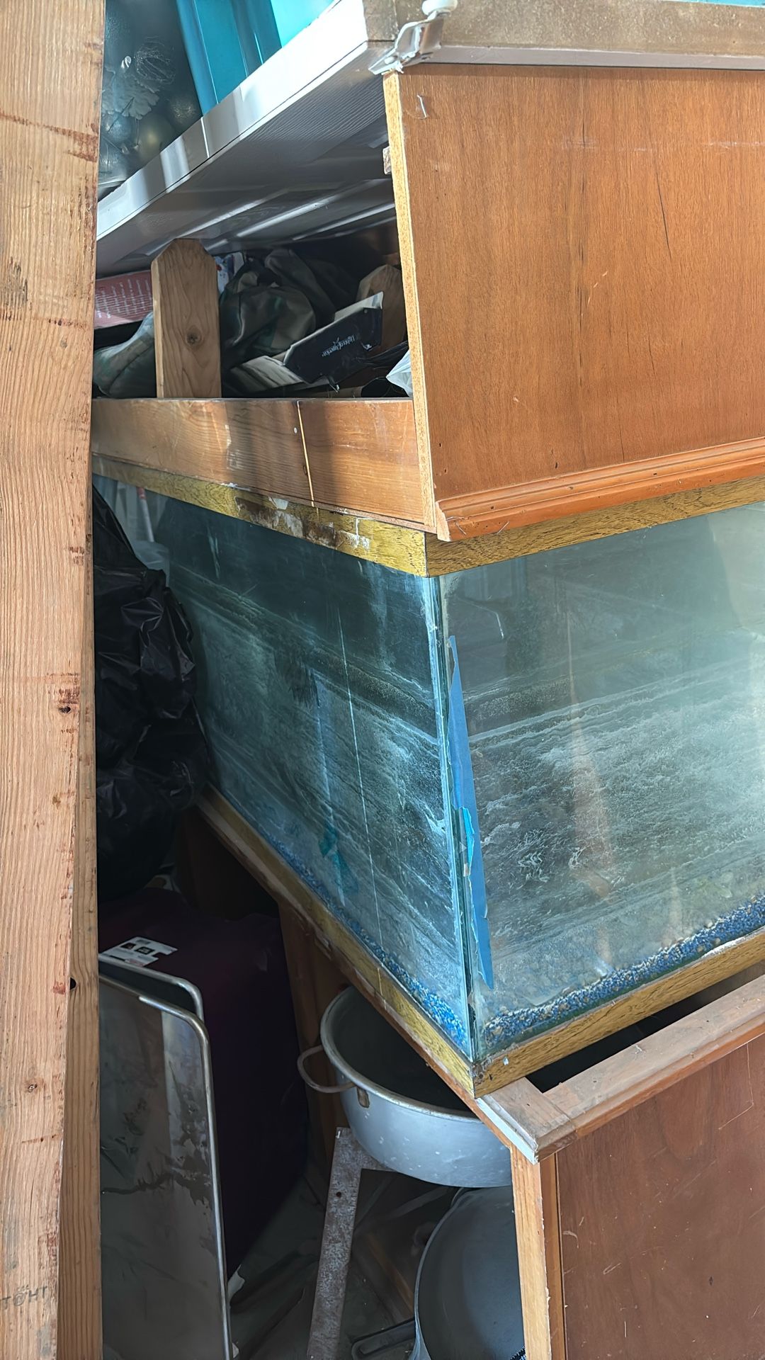 Fish Or Reptile Tank