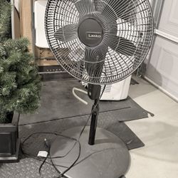 Fan 