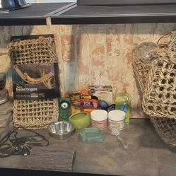 Full Setup For Bearded Dragon. Lights & All. 