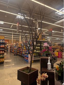 Manzanita tree Floral Supplies Wedding decoration