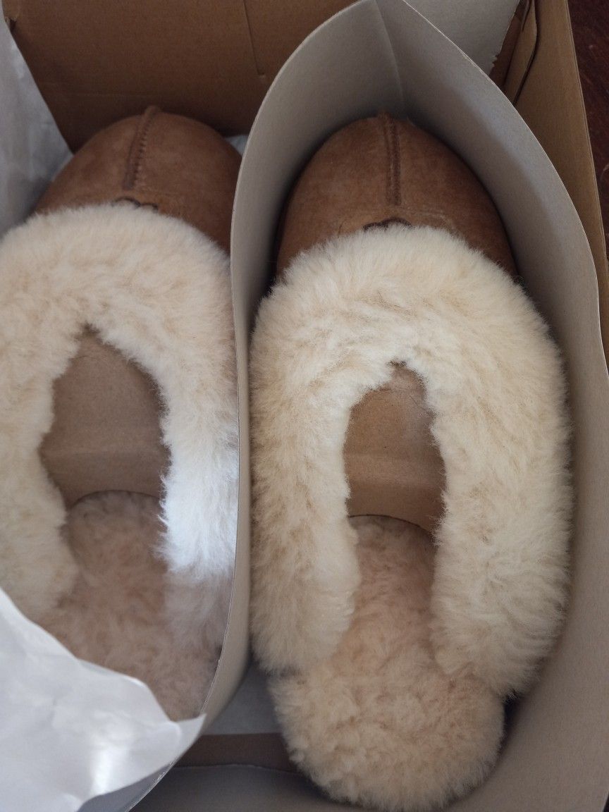UGG's
