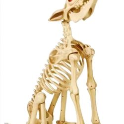 Home Accents Holiday 2.5ft Animated Halloween Skeleton Wolf Grave Bones - NEW
