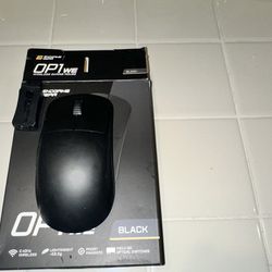 Endgame Gear Op1we Gaming Mouse 