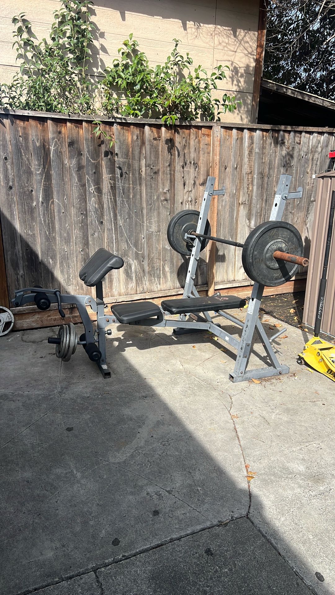 Olympic Weight Bench Complete