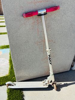 Adult scooter