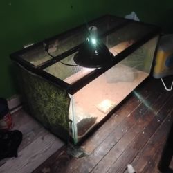 Reptile Cage