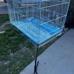 Bird Cage