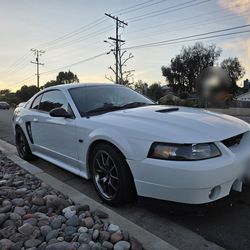 2000 Ford Mustang