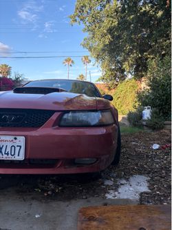 2002 Ford Mustang
