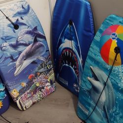 Booige Boards $10 Each Used A Few Times 