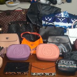 Designer Bags, Clutches & Phanny Packs