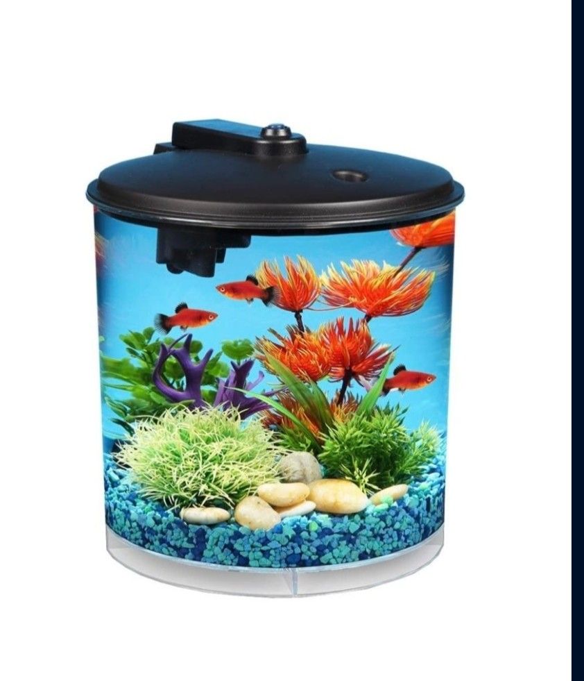 Aquarium 