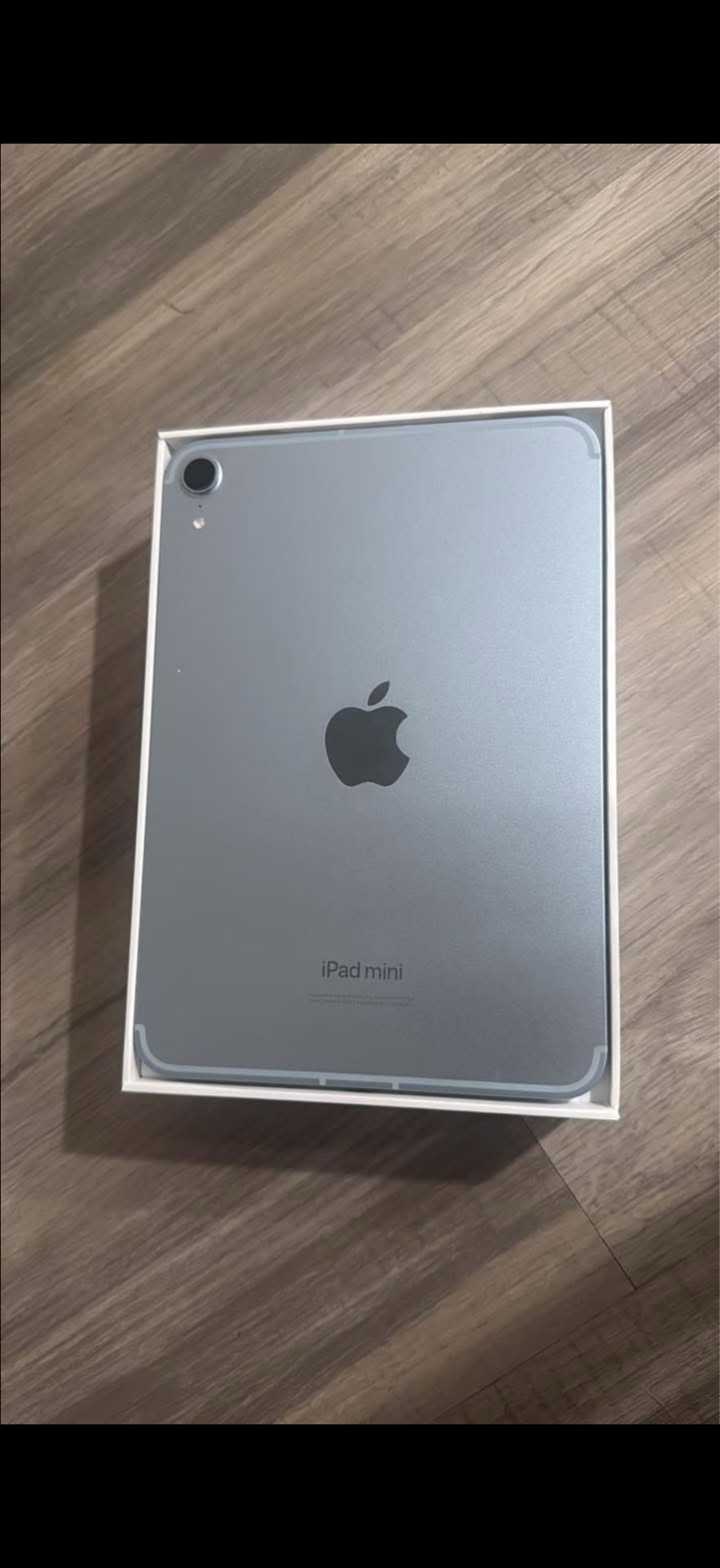iPad Mini (2024) 