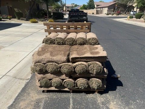 Fresh Sod Grass Rolls