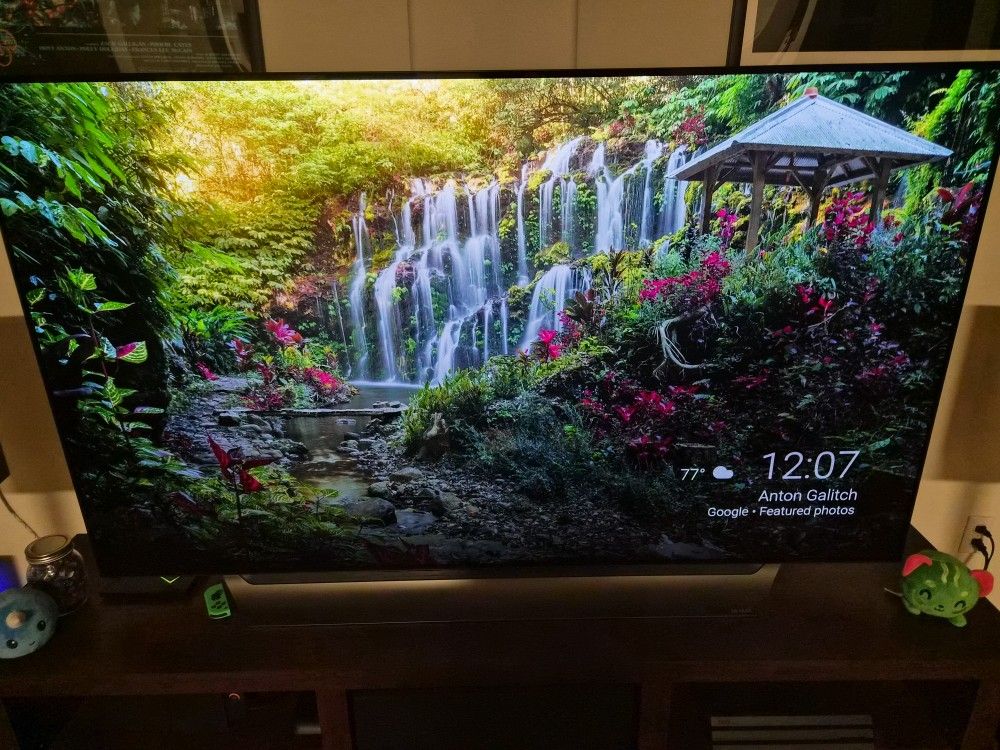 LG OLED C8 65 Inch