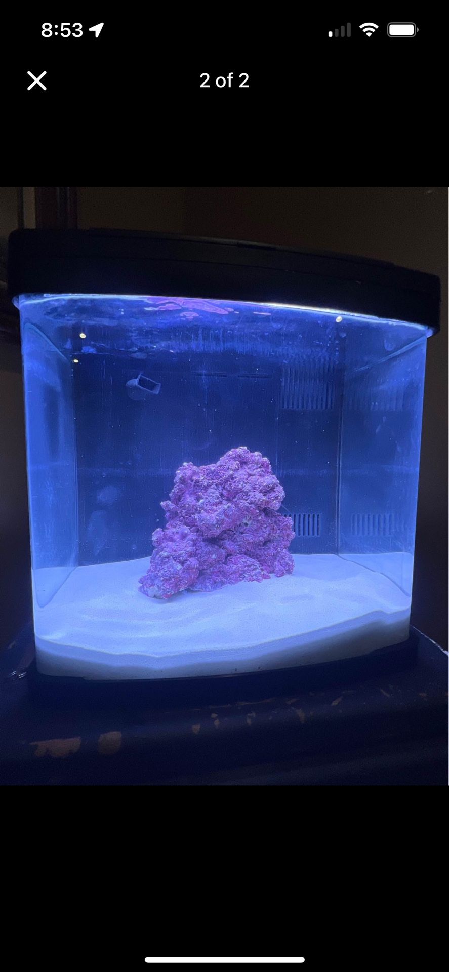 10 gallon biocube fish tank