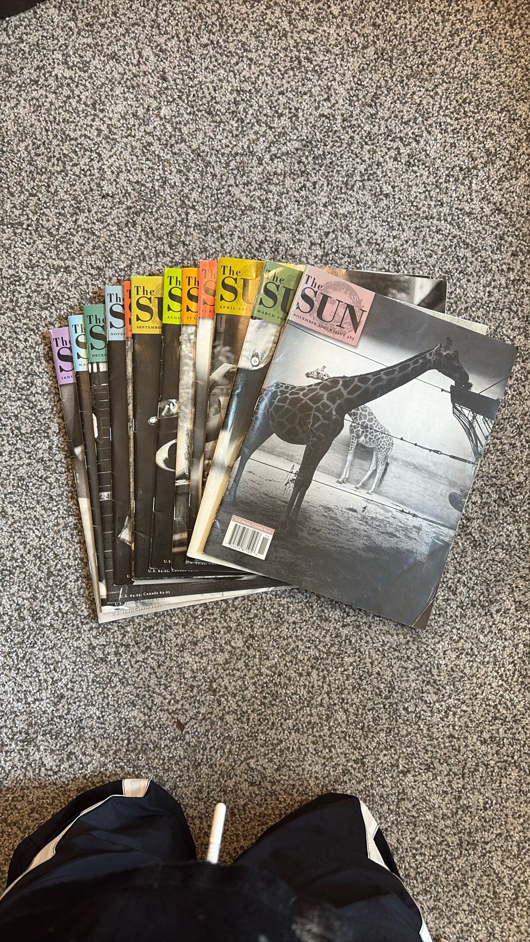 12 Issues Of The Sun