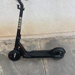Bird Flex E Scooter 