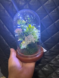 Plant in a glass dome with bird sounds and LED light.