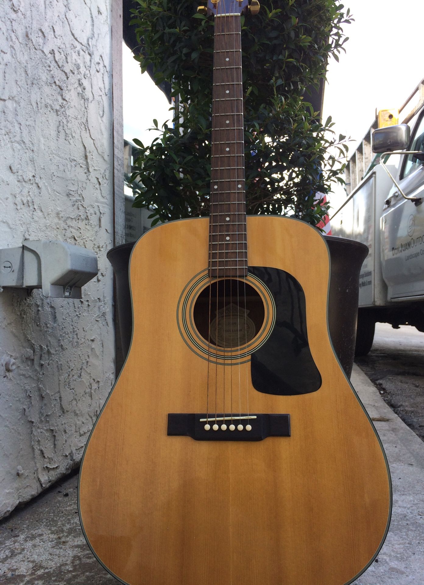 Washburn d100 acoustic sales guitar