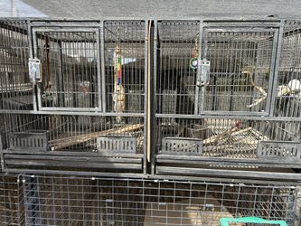 Cages