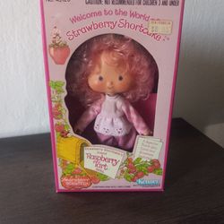 1980 Kenner Strawberry Shortcake Raspberry Tart Doll No.43120 New Sealed