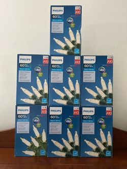 Philips Warm White Indoor / Outdoor LED Lights 6 A10’s, 1 A9
