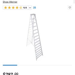 Brand New 16ft Ladder