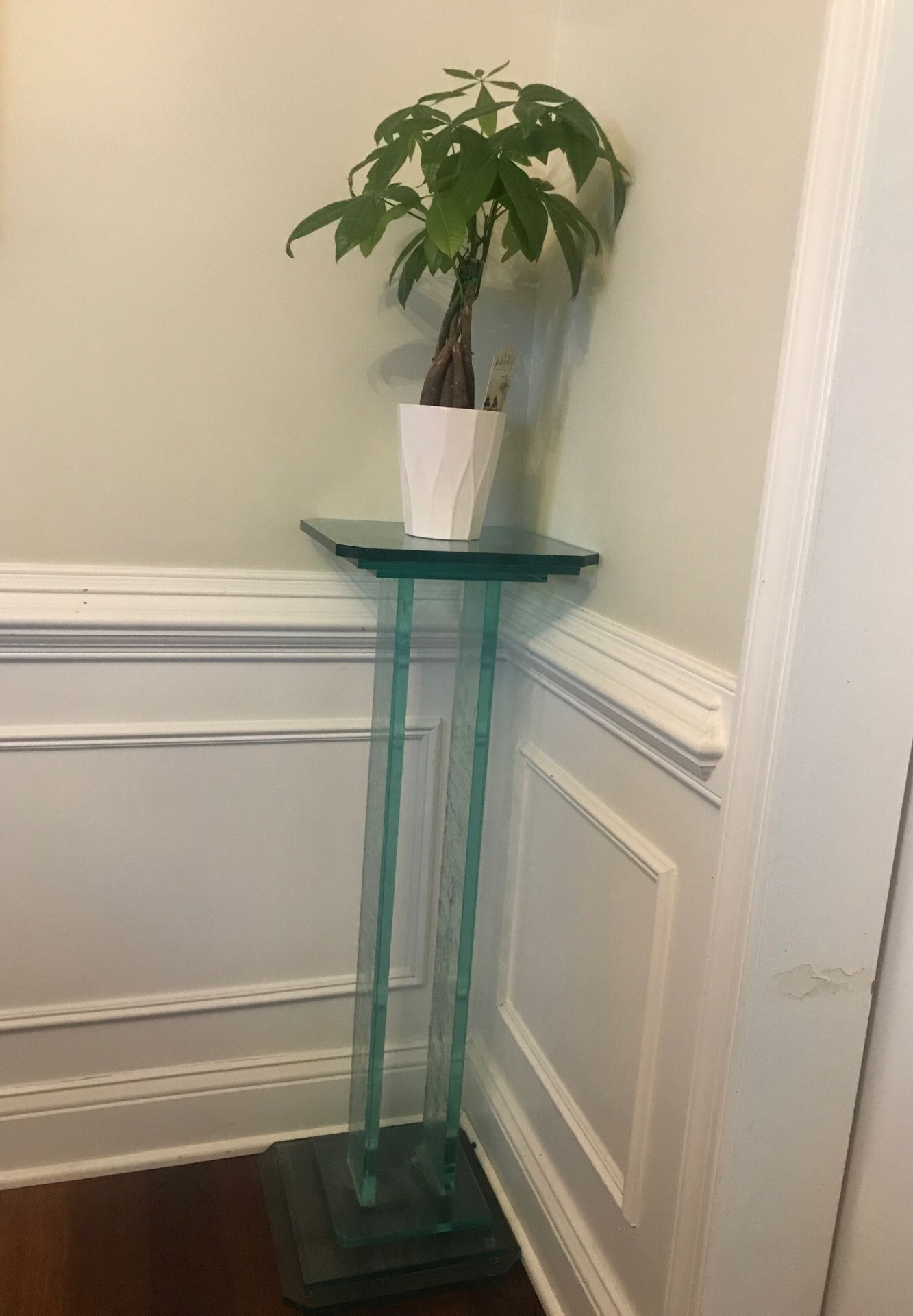 Glass Stand for plants excellent condition
