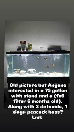 Tank 75 Gallon Aquarium